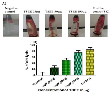 In-vitro and in-vivo studies of Tamarind seed edible extract reveals ...