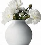 Image result for High Quality Vase Photo