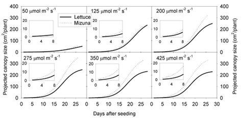 Canopy Size and Light Use Efficiency Explain Growth Differences between ...