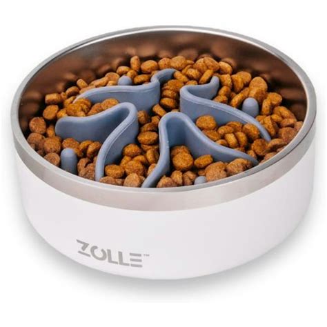 Best slow feeder bowls for dogs to encourage slower eating