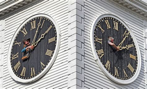 Image result for Daylight Saving Time Explained