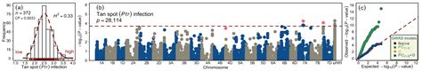 Genome-Wide Association Studies and Prediction of Tan Spot (Pyrenophora ...