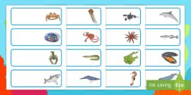 Editable Peg Drawer Labels Sea Creatures French - Twinkl