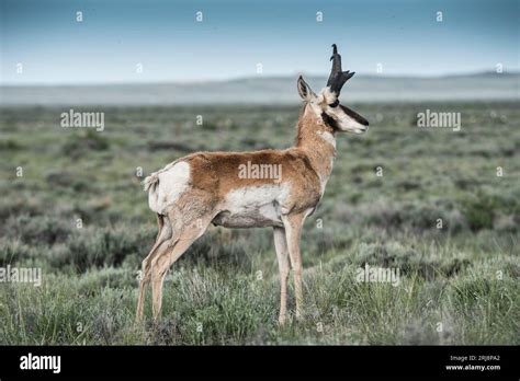 Image result for Basic Addition Color by Number