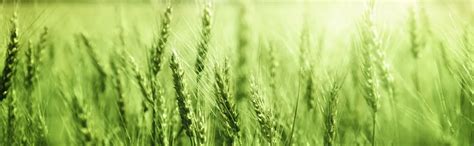 Key changes in ISO 22000:2018 vs ISO 22000:2005