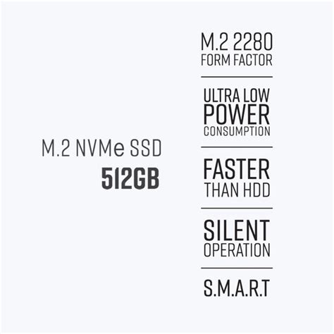 Zebronics MN52 SSD