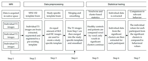 Image result for Data Processing Steps