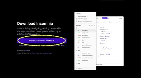 Image result for Insomina API Tutorial