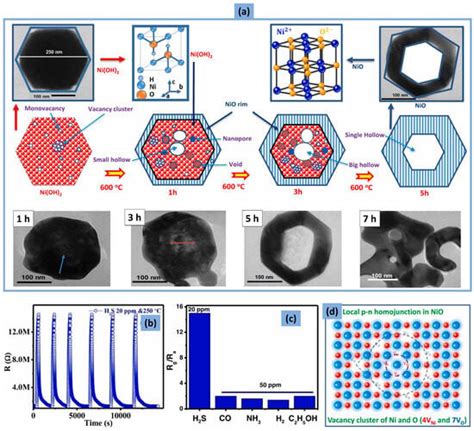 Growth Processing and Strategies: A Way to Improve the Gas Sensing ...