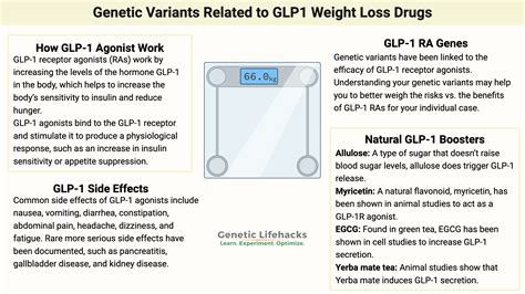 Weight Watchers Glp 1 – GLP-1 for Weight Loss: How GLP-1s Work, Side ...