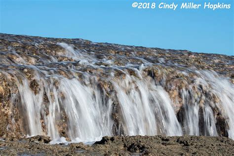 MONTGOMERY REEF (2025) All You Need to Know BEFORE You Go (with Photos ...
