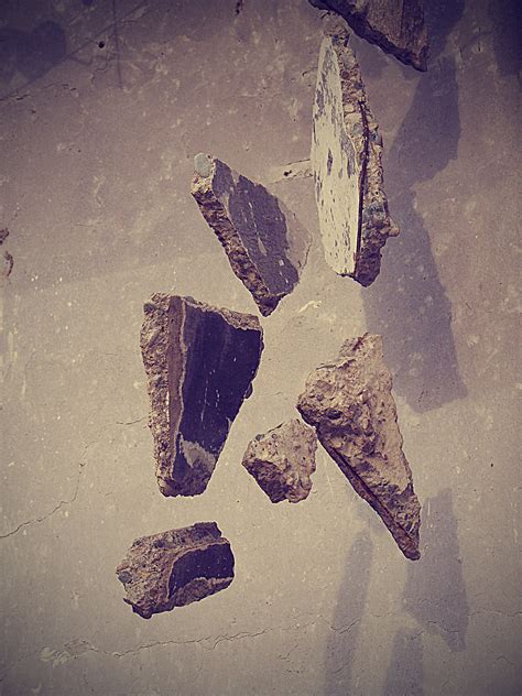 Image result for Tree Structure Texture Drawing