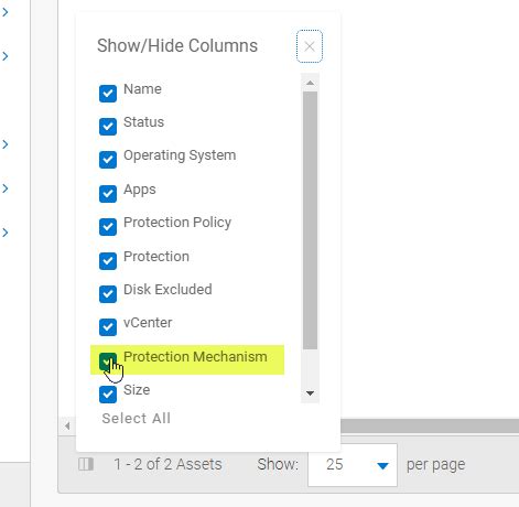 [PPDM] How to check the Protection Mechanism for a Virtual Machine ...