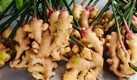 Ginger Seeds for Planting, Planting Seeds for Ginger helthy Seeds (2 ...