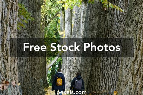 Stock People Walking 的图像结果