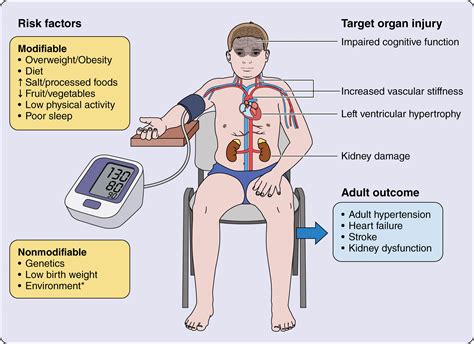 Pediatric Primary Hypertension: An Underrecognized Condition: A Scientific Statement From the ...