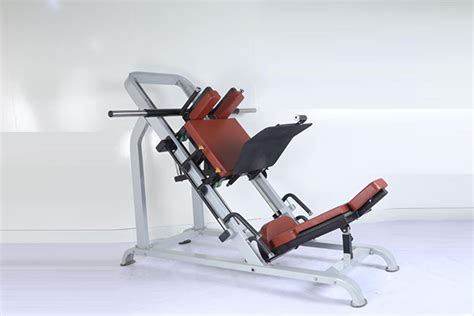 Star Gym & Fitness