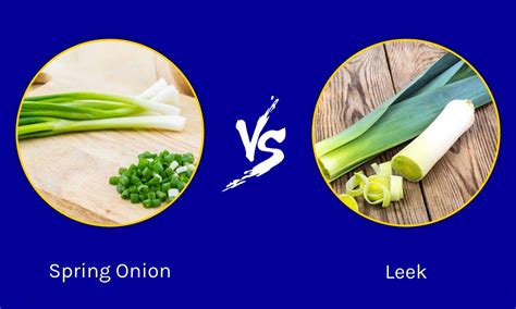 Can Babies Eat Leek