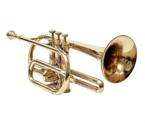 Image result for Cornet Musical Instrument