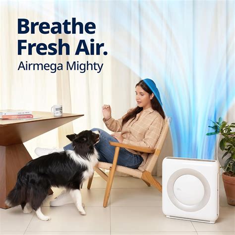 COWAY AIRMEGA MIGHTY AP-1512HH - Air Purifiers Online