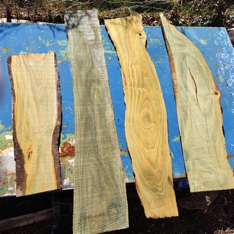 Lignum Vitae | The Wood Database (Hardwood)