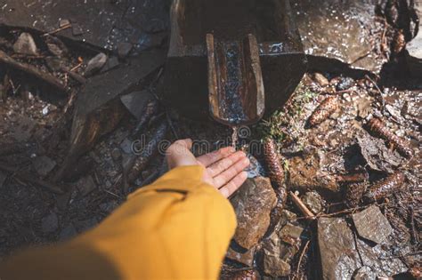 Image result for Spring Trap Hand Reaching Out