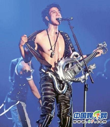 王力宏演唱会歌迷坠下6米天桥伤势严重 _ 视频中国