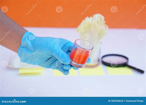 Image result for Science Lesson Activity Photo
