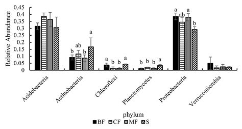 Improving Effects of Afforestation with Different Forest Types on Soil ...
