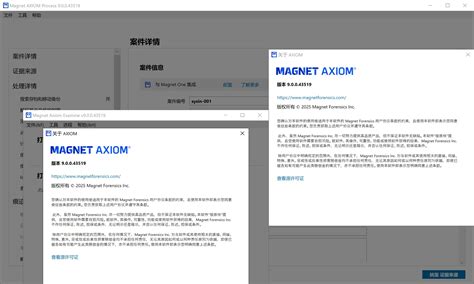 Magnet Axiom 的图像结果