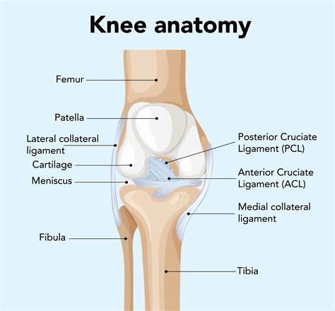 What Causes a Bony Lump on Knee Cap | Arthritis Knee Pain Centers