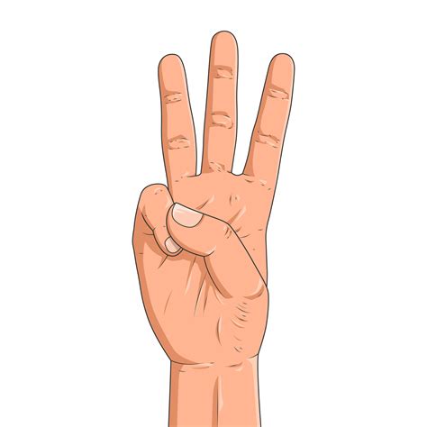 masculino mano es demostración Tres dedos aislado en un blanco ...