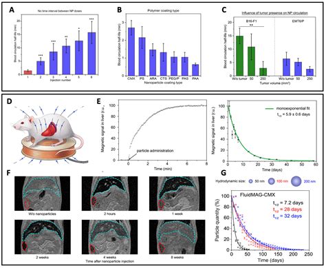 Micro/Nanosystems for Magnetic Targeted Delivery of Bioagents
