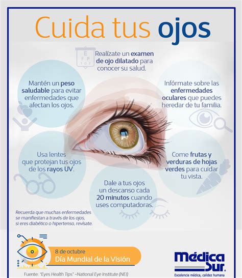 Cuida tus ojos | Optica y optometria, Enfermedades del ojo, Anatomía ...