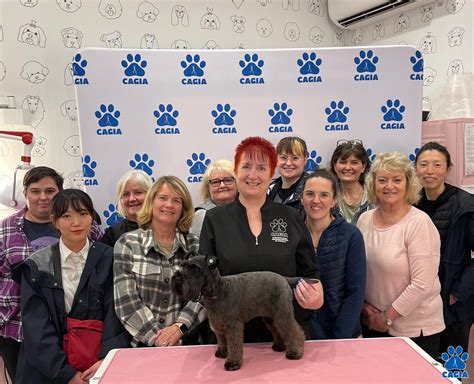 Bunbury - Schnauzer to Wowzer — CAGIA