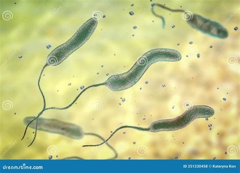Microscopio Vibrio Cholerae Vibrio Cholerae Bacteria Stock Photo