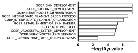 The Expression of TP63 as a Biomarker of Early Recurrence in Resected ...