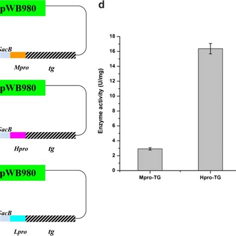 Image result for TG Genetic Modification