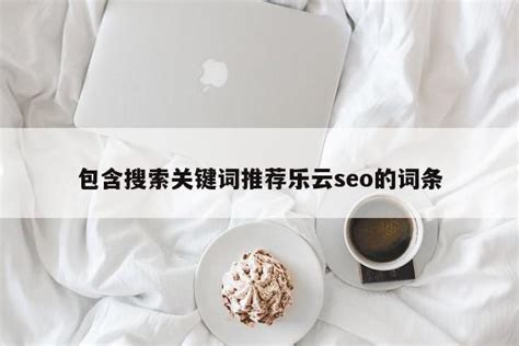 核心词SEO排名案例-软文营销推广效果-乐云seo网络营销