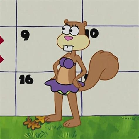 Image result for Sandy Cheeks Cowboy