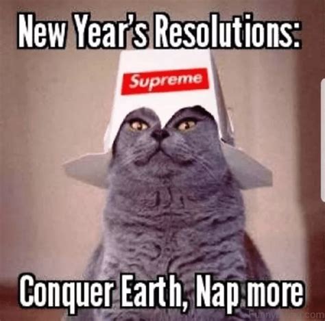 30 Funniest Happy New Year Memes with Images | [Official] UPDF