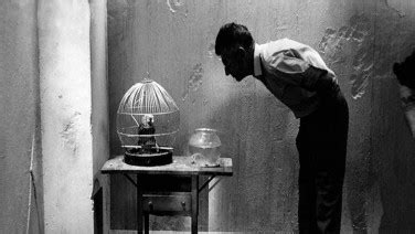 Nefilm - Destination Sarajevo