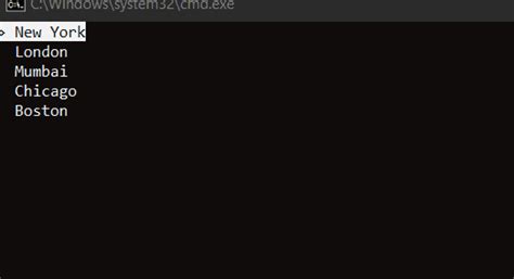 Program Command Line Option Menu 的图像结果