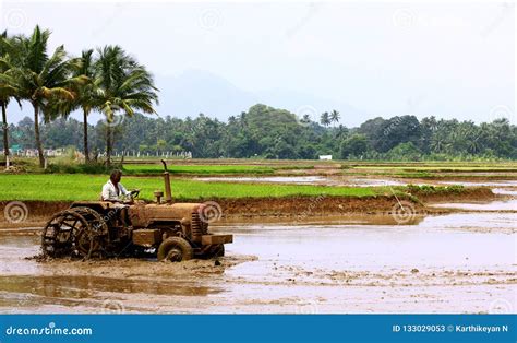 TAMIL NADU, INDIA Agricultural Editorial Stock Photo - Image of india, farmers: 133029053