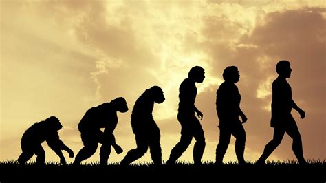 Image result for Language Change in Use Over Time