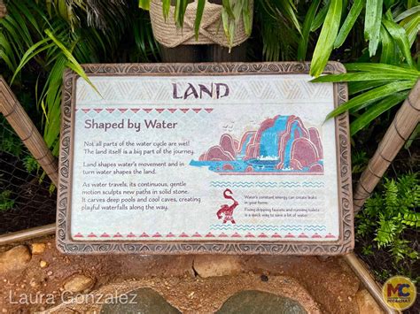 Moana Land At Epcot at Luca Waldock blog