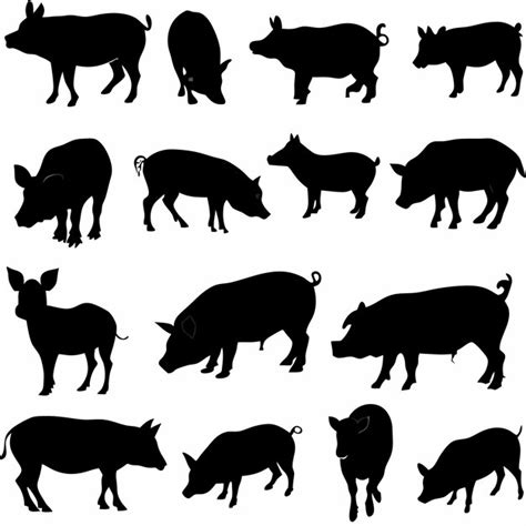 Various poses of pig animal vector art silhouette | Premium AI ...