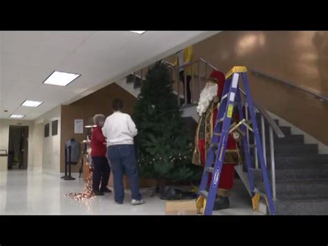 Christmas Tree Time-Lapse 的图像结果