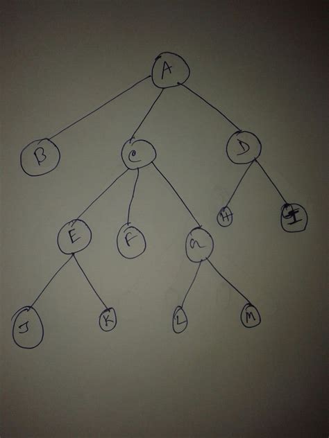 Image result for Tree Time Complexity