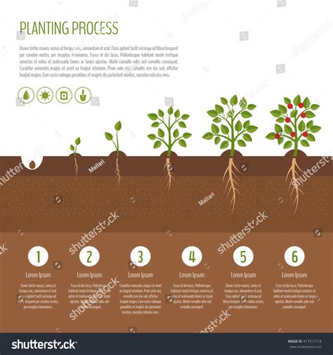 Ask the students to adopt a sapling. Ask them to take care of it and ...